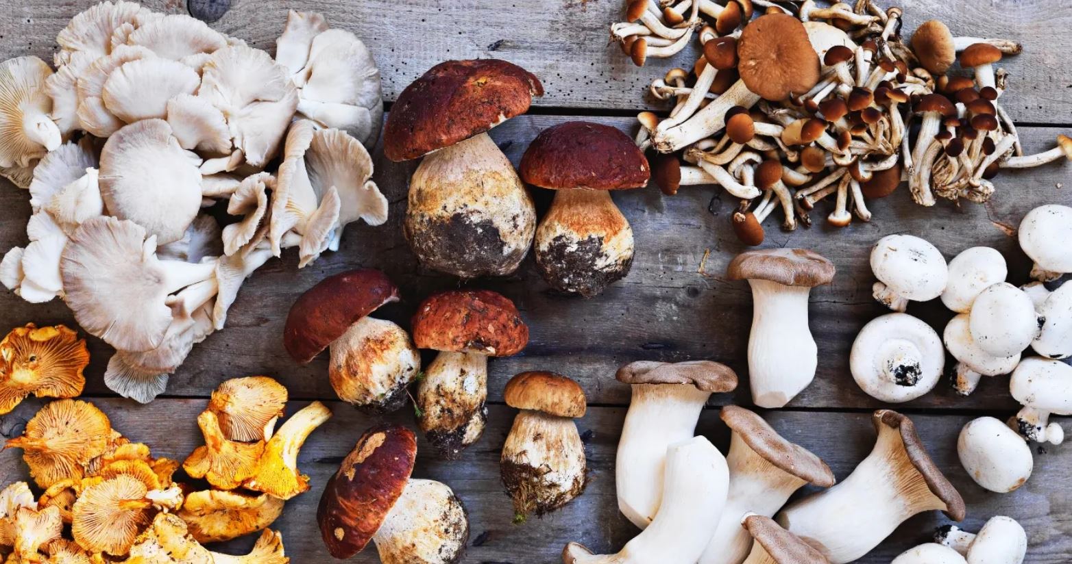 Immagine raffigurativa dell'evento